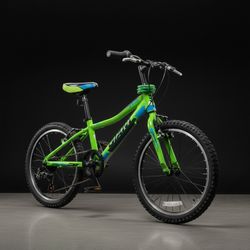 Kids/ Youth Mountain Bike