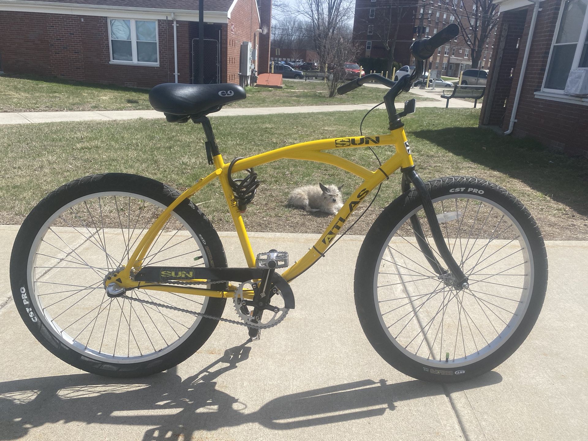 Sun Bike
