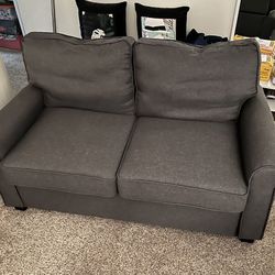 Couch/Love Seat/ Pull Out Bed