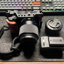 Sony a6100 Mirrorless Camera