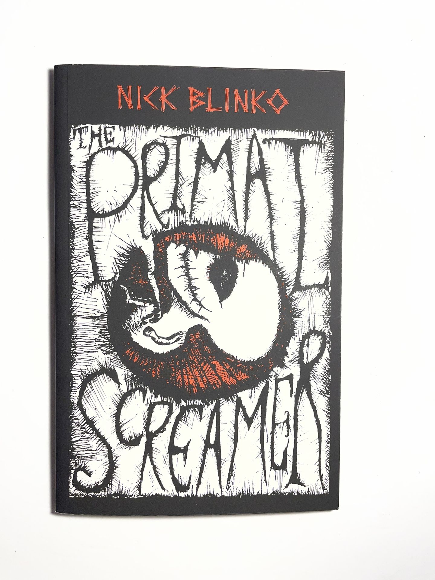 Primal Screamer Nick Blinko Book Rudimentary Peni