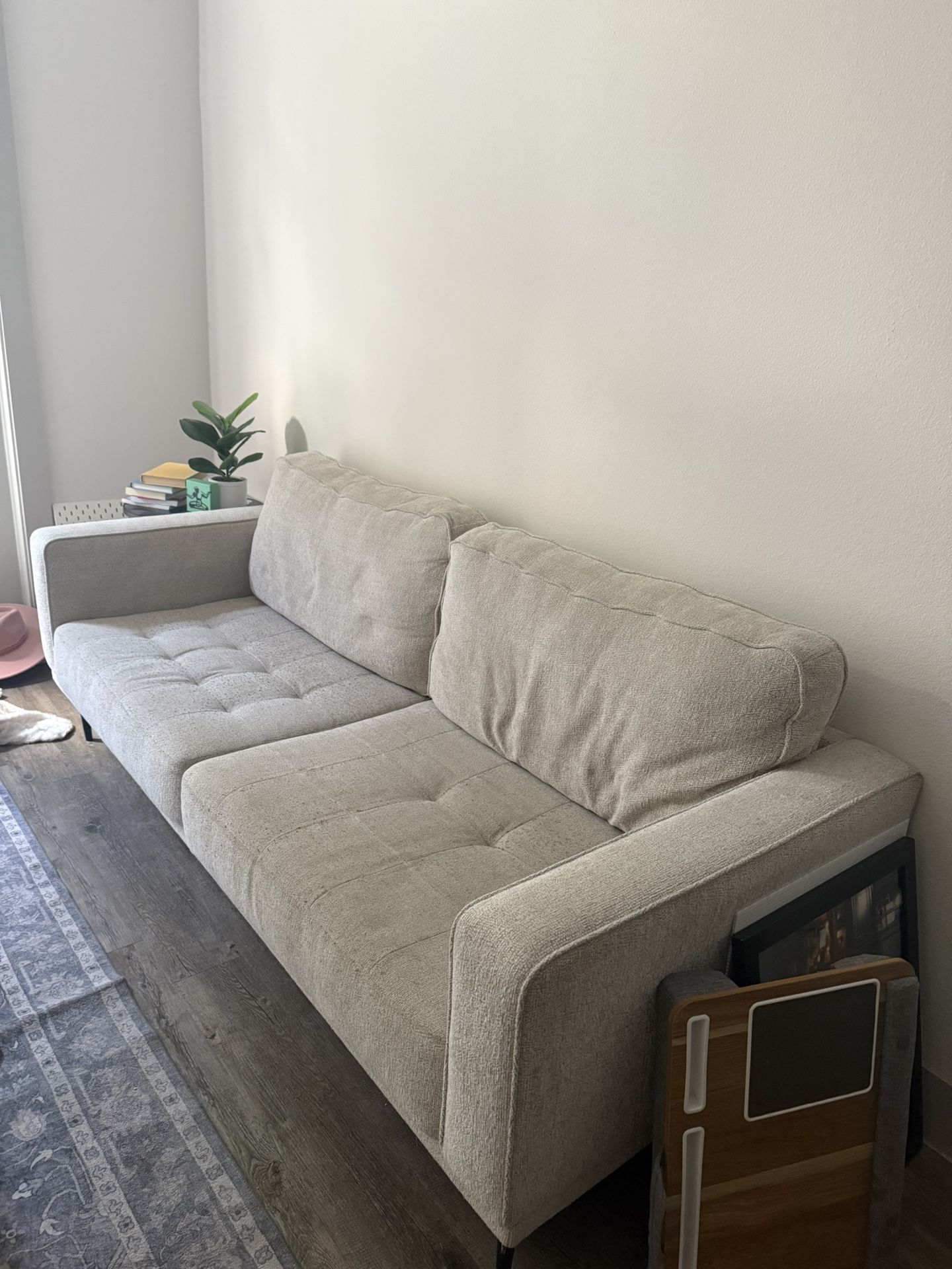 Two Piece Couch Set