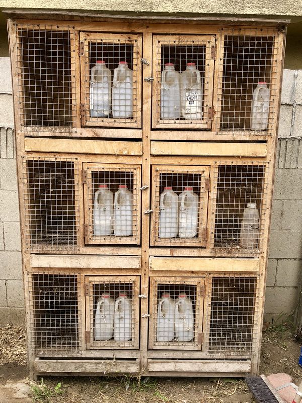 Six Individual pigeon cages for Sale in Beverly Hills, CA OfferUp
