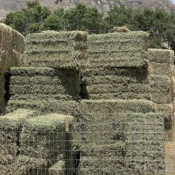 Hay Alfalfa Horse Quality.