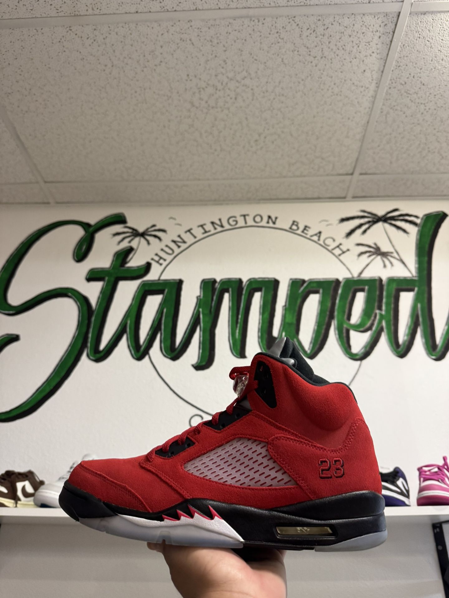 Jordan 5 Raging Bulls