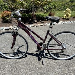 Adult Schwinn Bike 
