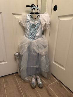 Disney Cinderella Costume