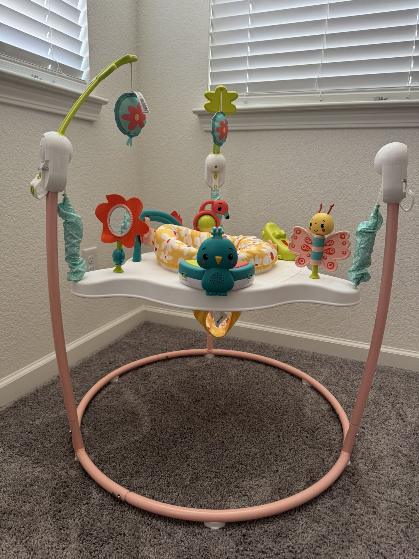 Fisher Price Baby Bouncer Activity Center