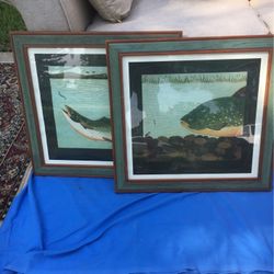 Fish Pictures