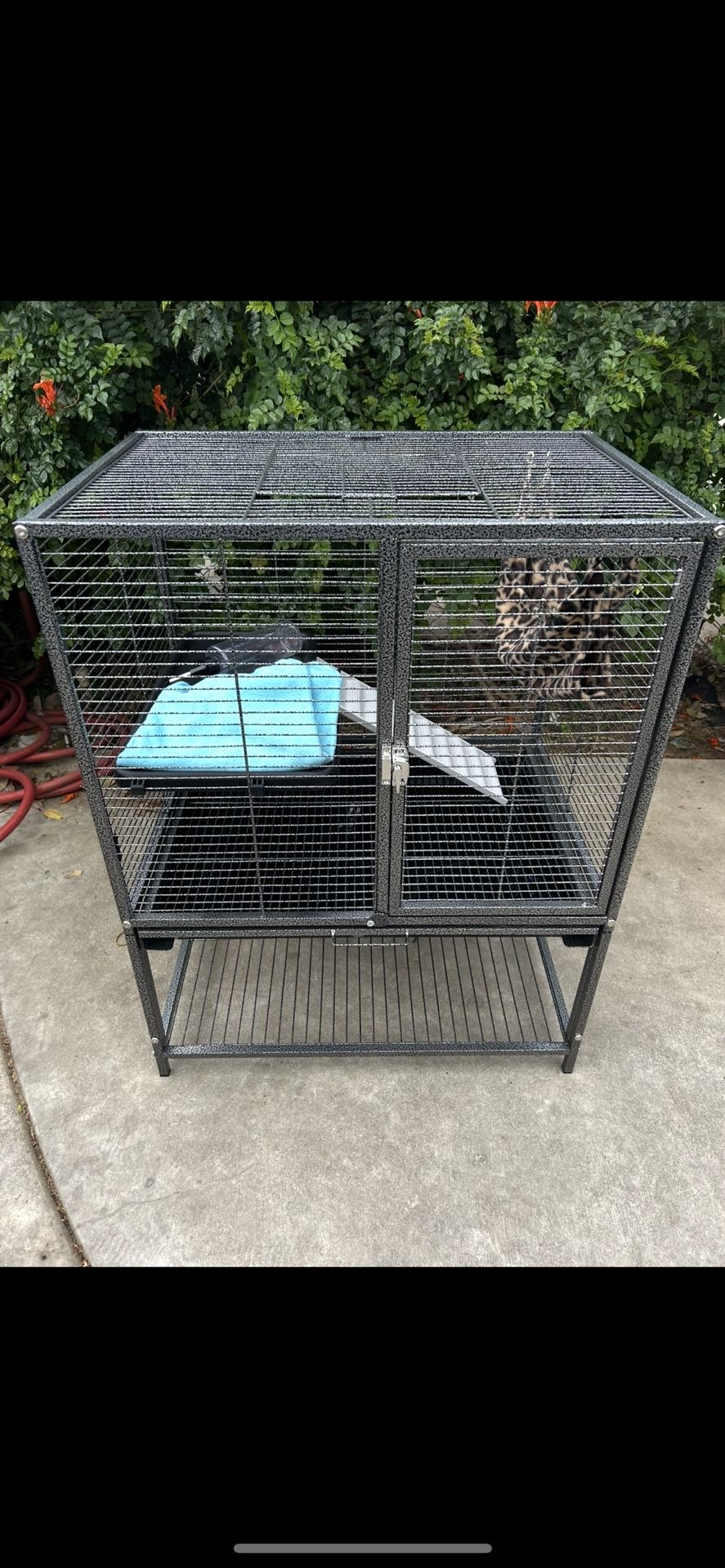 Chinchilla Cage