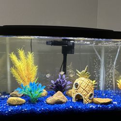 Fish Tank 5.5 Gallon 