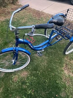 Adult tricycle