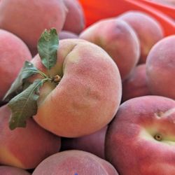 White Peaches $15 The Bucket Only Today