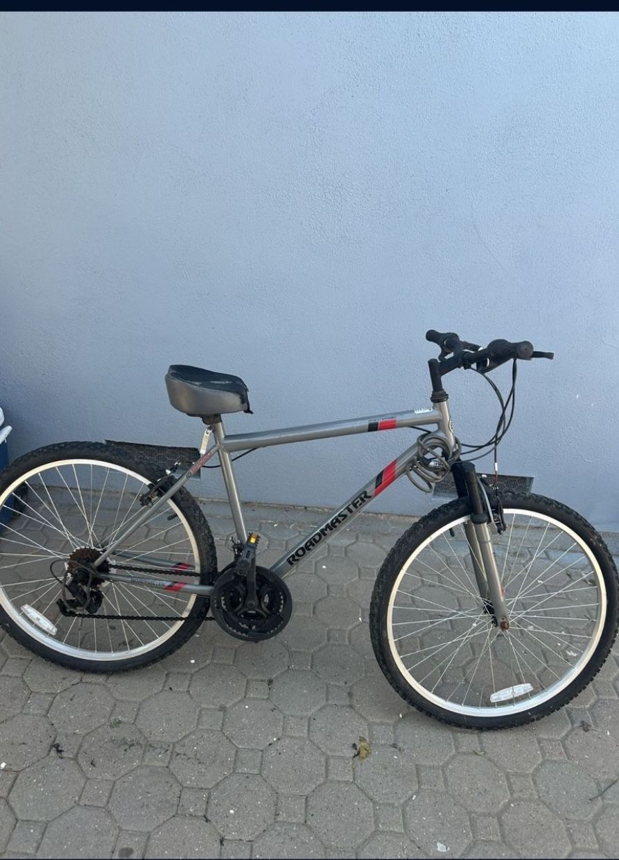 Road masters bike
