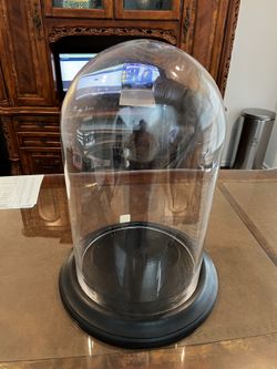 Large Glass Display Case.