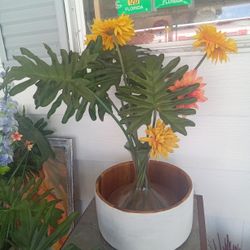 Glass Vace  N Wood Vace 