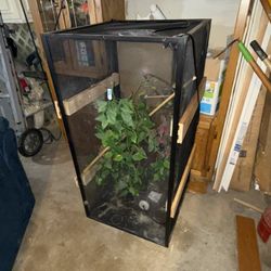 Selling my 2ft by 2 ft by 4ft chameleon screen cage/set have a bag full of goods that also come with tank. Asking 400 obo.