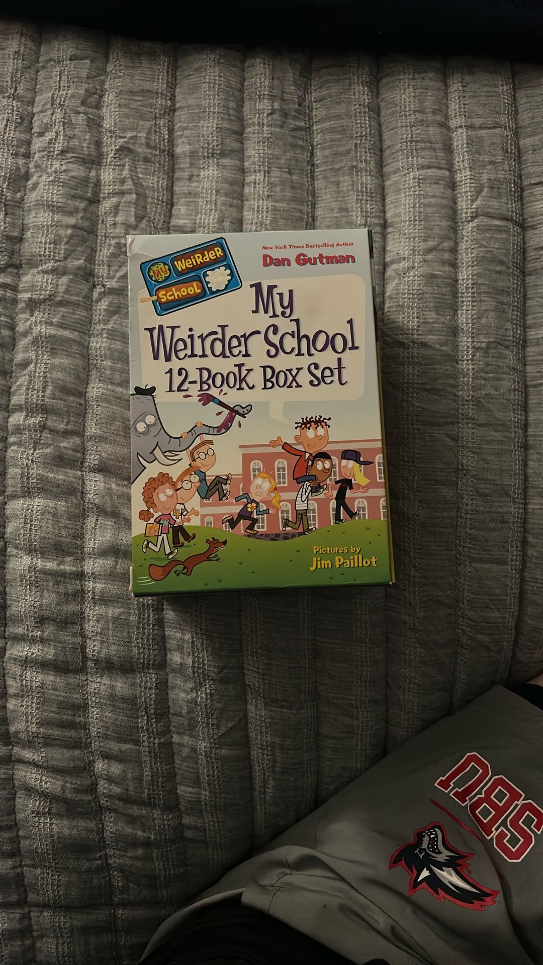 My Weirder School 12-Book Box Set