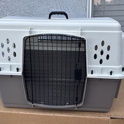 Medium Plastic Dog Crate by Pet Lodge