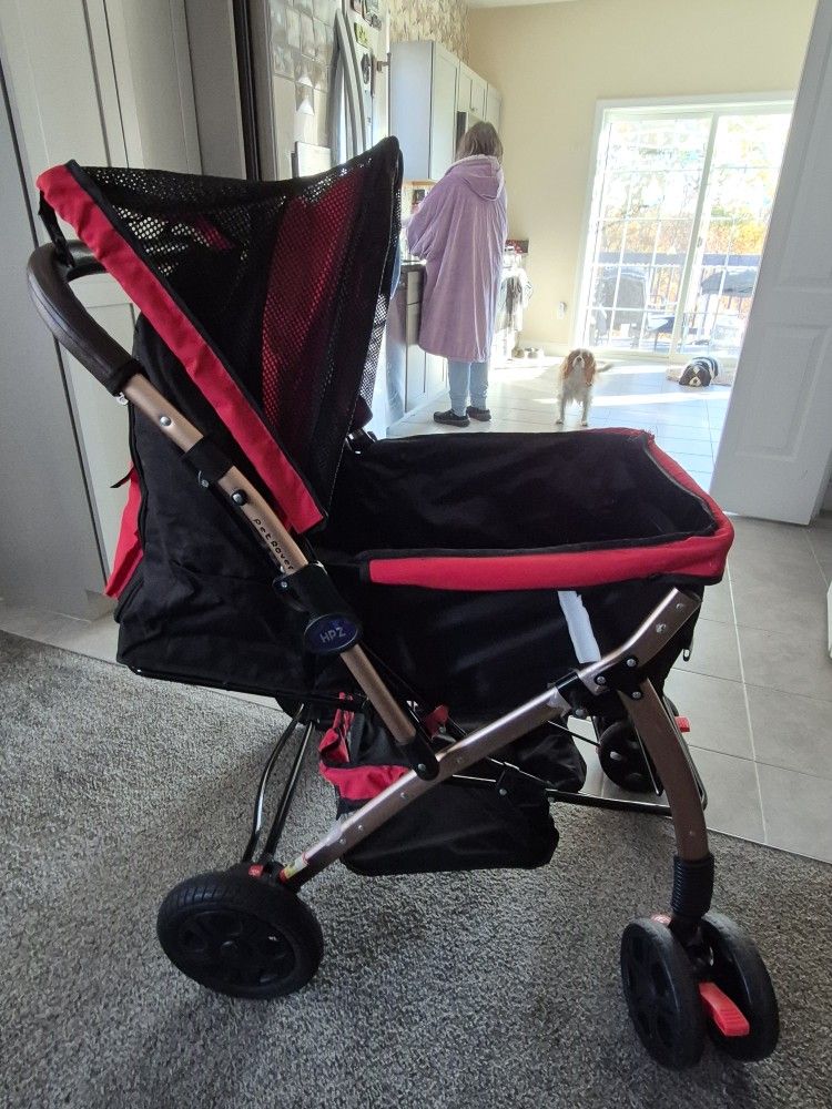 Pet Carriage