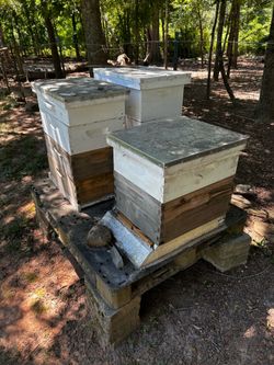 Bee hives