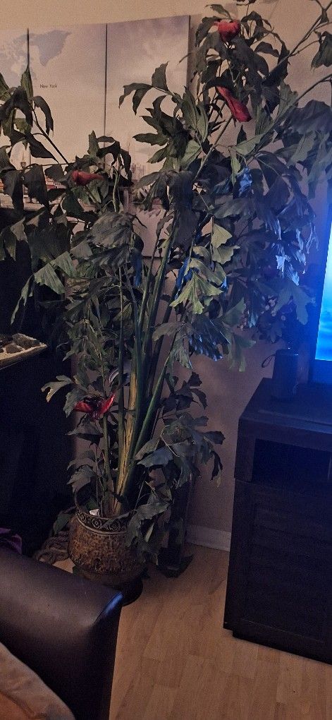 10 Ft Tall Silk imitation Plants With Iron Pot Roman Style Some Birds Come With