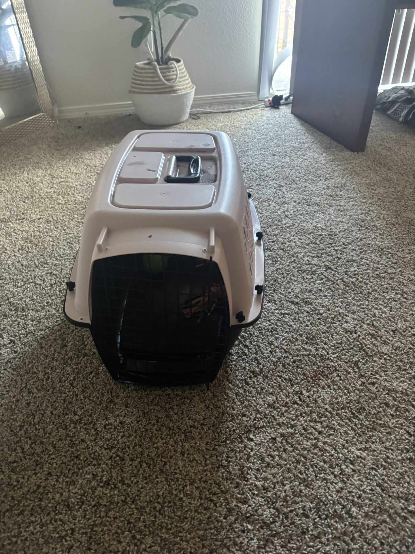 Small Dog Crate