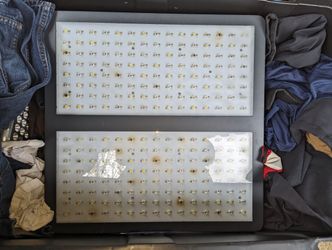 Led Light And Tent