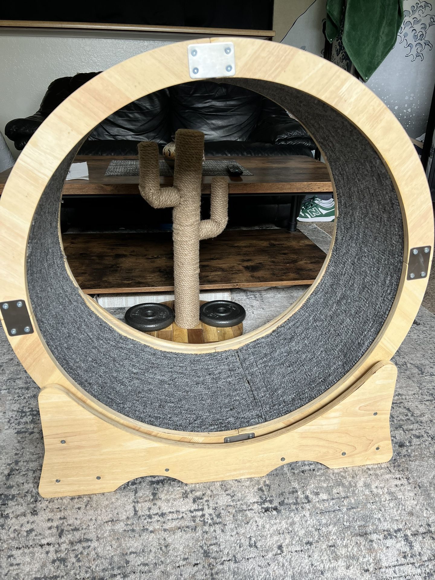 Cat Wheel
