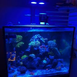 Fake Aquarium Decoration Coral