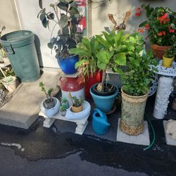 Plant Sale Going On Right Now !!!!!!