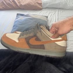 Nike Dunk Desert Clay Size 10