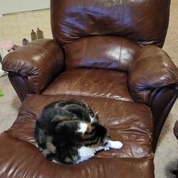 Loveseat And Recliner