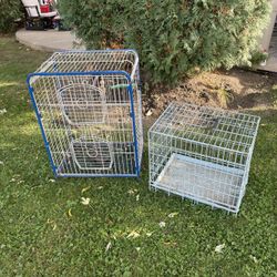 Bird And Dog Cage 