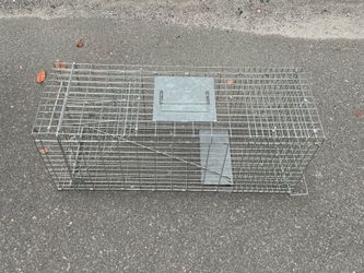 Cage