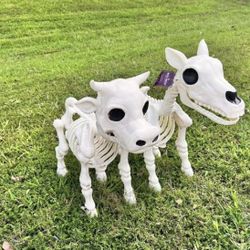 Brand New Cow & Horse Skeleton Set Halloween Prop - Tractor Supply RARE