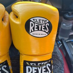 Cleto Reyes 14oz Boxing Gloves Professional Horse Hair 