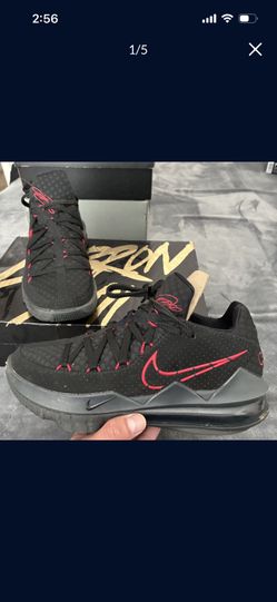LeBron 17 low (slightly used)