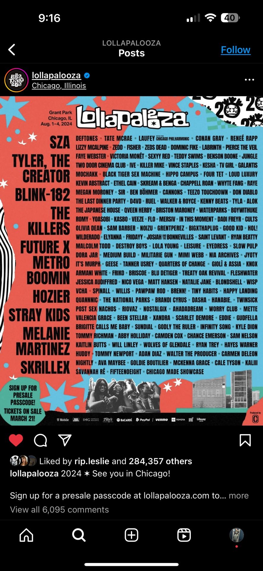 Lollapalooza Ticket