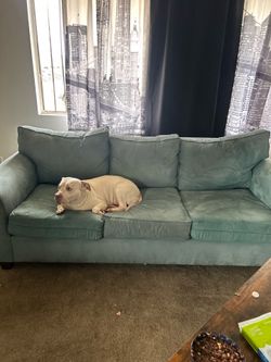 Free couch