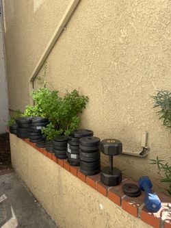 1” weight bundle
