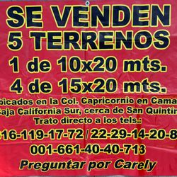 Se Venden 5 Terrenos! 