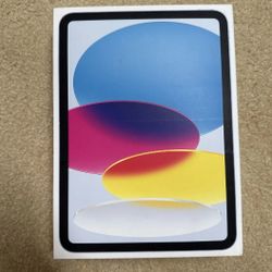 iPad 10th Generation 256 Gb