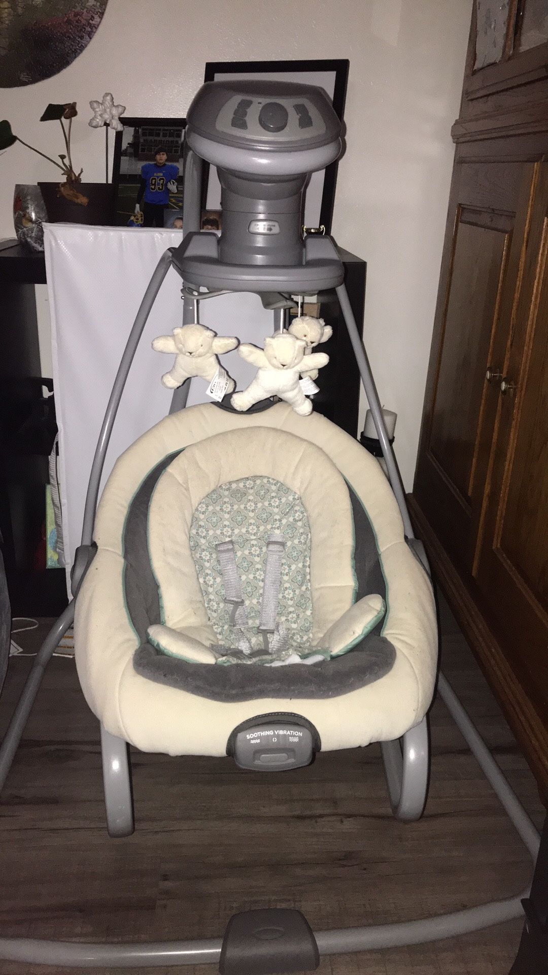 Graco Baby Swing/Rocker