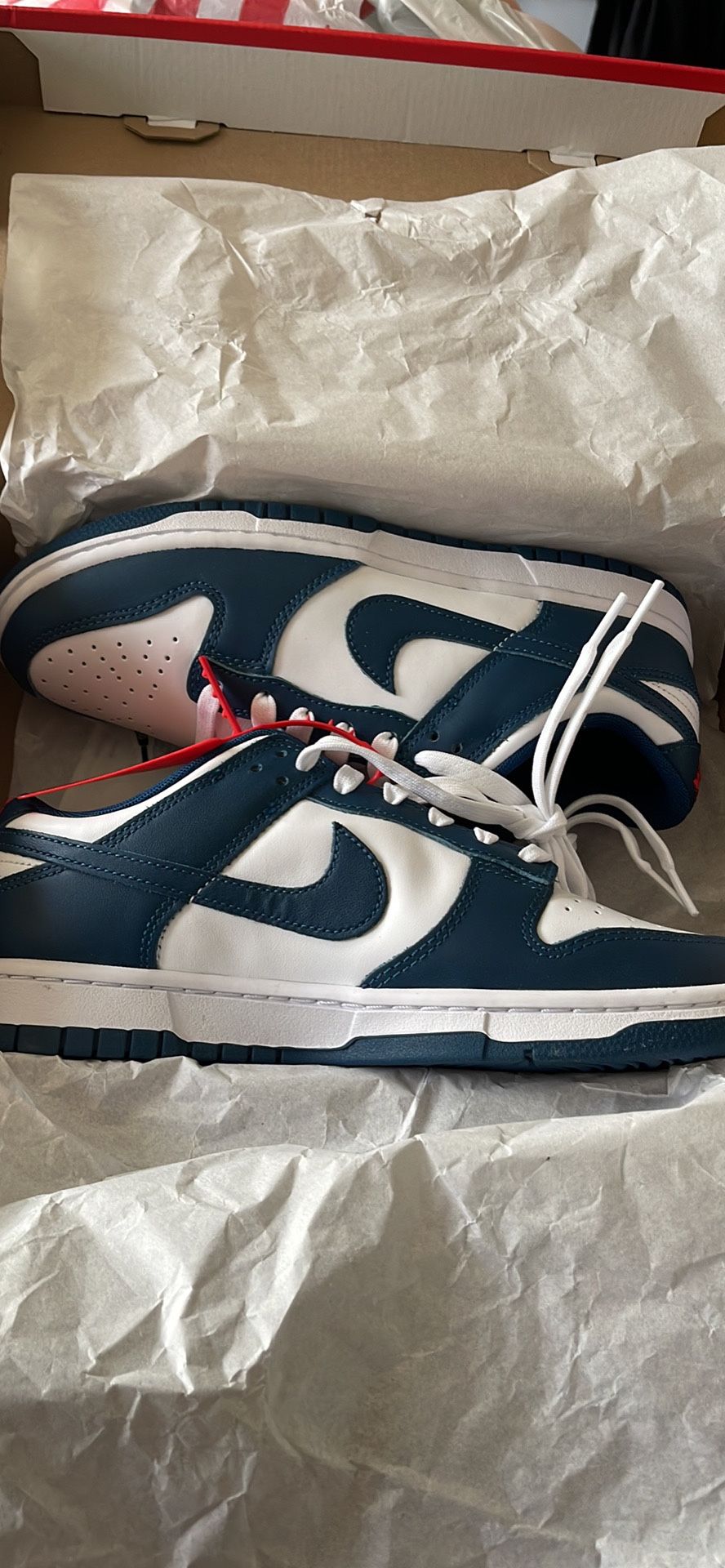 Valerian Nike Dunks Size 8 Men’s