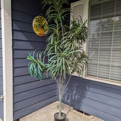 7ft Dracaena Fake Plant
