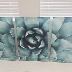 Canvas Art