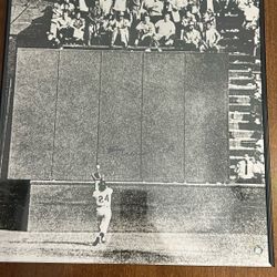 New York Giants “Willie Mays Catch” 