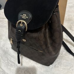 Coach Kleo Backpack In Signature Canvas