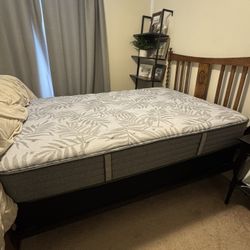 Sealy Full Size Mattress And Box Spring 